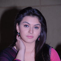 Hansika In Kandireega Movie Interview Pictures | Picture 65348